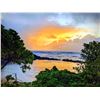 Image 4 : MOLOKA'I HAWAII 1 DAY GUIDED HUNT