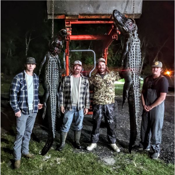 FLORIDA 2x GATOR HUNT 2 HUNTERS OR 1 HUNTER 1 OBSERVER 2 DAYS