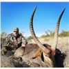 Image 10 : AFRICA 2 HUNTERS 6 DAYS 1 WILDEBEEST SLAM OF TROPHIES