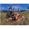 Image 18 : AFRICA 2 HUNTERS 6 DAYS 1 WILDEBEEST SLAM OF TROPHIES