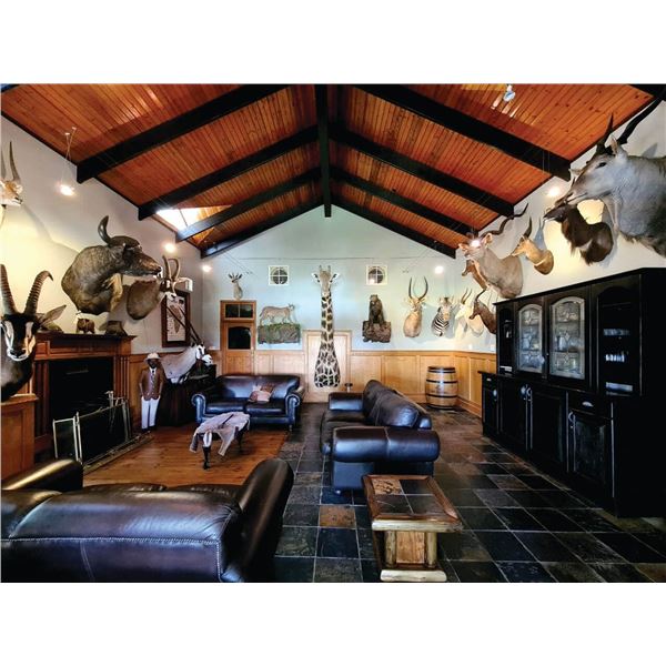 AFRICA 2 HUNTERS 6 DAYS 1 WILDEBEEST SLAM OF TROPHIES