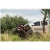 Image 11 : ARGENTINA 5 DAY BIG GAME HUNT 4 HUNTERS INCLUDING 4 TROPHY FEES, LAS PAMPAS PATAGONIA