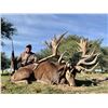 Image 13 : ARGENTINA 5 DAY BIG GAME HUNT 4 HUNTERS INCLUDING 4 TROPHY FEES, LAS PAMPAS PATAGONIA