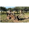 Image 14 : ARGENTINA 5 DAY BIG GAME HUNT 4 HUNTERS INCLUDING 4 TROPHY FEES, LAS PAMPAS PATAGONIA