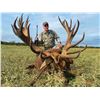 Image 1 : ARGENTINA 5 DAY BIG GAME HUNT 4 HUNTERS INCLUDING 4 TROPHY FEES, LAS PAMPAS PATAGONIA