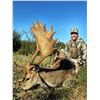 Image 2 : ARGENTINA 5 DAY BIG GAME HUNT 4 HUNTERS INCLUDING 4 TROPHY FEES, LAS PAMPAS PATAGONIA