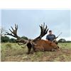 Image 3 : ARGENTINA 5 DAY BIG GAME HUNT 4 HUNTERS INCLUDING 4 TROPHY FEES, LAS PAMPAS PATAGONIA