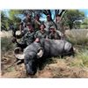 Image 6 : ARGENTINA 5 DAY BIG GAME HUNT 4 HUNTERS INCLUDING 4 TROPHY FEES, LAS PAMPAS PATAGONIA