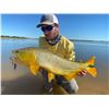 Image 15 : ARGENTINA 4 HUNTERS 4 DAYS 1 DAY GOLDEN DORADO 4 HUNTER/ANGLERS, 4 WILD BOAR, NORTHERN TERRITORY
