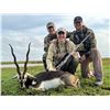 Image 17 : ARGENTINA 4 HUNTERS 4 DAYS 1 DAY GOLDEN DORADO 4 HUNTER/ANGLERS, 4 WILD BOAR, NORTHERN TERRITORY