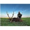 Image 18 : ARGENTINA 4 HUNTERS 4 DAYS 1 DAY GOLDEN DORADO 4 HUNTER/ANGLERS, 4 WILD BOAR, NORTHERN TERRITORY
