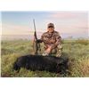 Image 19 : ARGENTINA 4 HUNTERS 4 DAYS 1 DAY GOLDEN DORADO 4 HUNTER/ANGLERS, 4 WILD BOAR, NORTHERN TERRITORY
