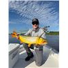 Image 21 : ARGENTINA 4 HUNTERS 4 DAYS 1 DAY GOLDEN DORADO 4 HUNTER/ANGLERS, 4 WILD BOAR, NORTHERN TERRITORY
