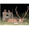 Image 2 : ARGENTINA 4 HUNTERS 4 DAYS 1 DAY GOLDEN DORADO 4 HUNTER/ANGLERS, 4 WILD BOAR, NORTHERN TERRITORY