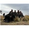 Image 7 : ARGENTINA 4 HUNTERS 4 DAYS 1 DAY GOLDEN DORADO 4 HUNTER/ANGLERS, 4 WILD BOAR, NORTHERN TERRITORY