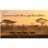 Image 1 : AFRICA 6 DAYS 2 HUNTERS 5 TROPHIES