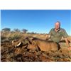 Image 3 : AFRICA 6 DAYS 2 HUNTERS 5 TROPHIES