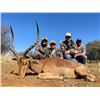 Image 6 : AFRICA 6 DAYS 2 HUNTERS 5 TROPHIES
