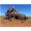 Image 7 : AFRICA 6 DAYS 2 HUNTERS 5 TROPHIES