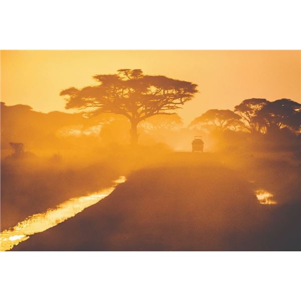 AFRICA 6 DAYS 2 HUNTERS 1 SABLE & GEMSBUCK