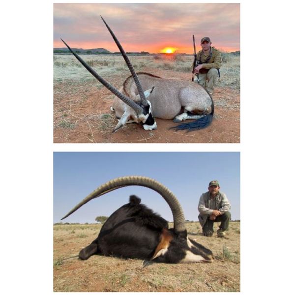 AFRICA 6 DAYS 4 HUNTERS 12 TROPHIES