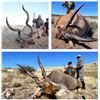 Image 3 : AFRICA 6 DAYS 4 HUNTERS 12 TROPHIES