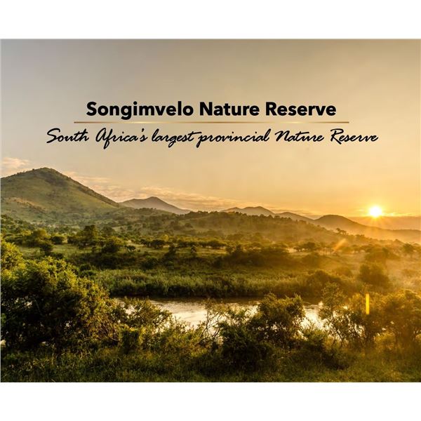 AFRICA SONGIMVELO NATURE RESERVE WORLD HERITAGE 7 DAY 2 HUNTERS $7,000 TROPHY FEES