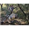Image 3 : AFRICA SONGIMVELO NATURE RESERVE WORLD HERITAGE 7 DAY 2 HUNTERS $7,000 TROPHY FEES