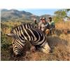 Image 9 : AFRICA SONGIMVELO NATURE RESERVE WORLD HERITAGE 7 DAY 2 HUNTERS $7,000 TROPHY FEES