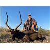 Image 10 : AFRICA RSA 7 HUNTING DAYS 1 HUNTER $3,000 CREDIT TOWARDS ROAN OR SABLE