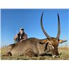 Image 11 : AFRICA RSA 7 HUNTING DAYS 1 HUNTER $3,000 CREDIT TOWARDS ROAN OR SABLE