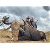 Image 13 : AFRICA RSA 7 HUNTING DAYS 1 HUNTER $3,000 CREDIT TOWARDS ROAN OR SABLE