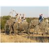 Image 1 : AFRICA RSA 7 HUNTING DAYS 1 HUNTER $3,000 CREDIT TOWARDS ROAN OR SABLE