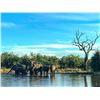 Image 3 : AFRICA RSA 7 HUNTING DAYS 1 HUNTER $3,000 CREDIT TOWARDS ROAN OR SABLE