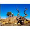 Image 6 : AFRICA RSA 7 HUNTING DAYS 1 HUNTER $3,000 CREDIT TOWARDS ROAN OR SABLE