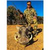 Image 7 : AFRICA RSA 7 HUNTING DAYS 1 HUNTER $3,000 CREDIT TOWARDS ROAN OR SABLE