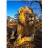 Image 8 : AFRICA RSA 7 HUNTING DAYS 1 HUNTER $3,000 CREDIT TOWARDS ROAN OR SABLE