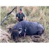 Image 11 : ARGENTINA WATER BUFFALO FREE RANGE FOR ! HUNTER 5 DAYS 4 NIGHTS