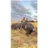 Image 12 : ARGENTINA WATER BUFFALO FREE RANGE FOR ! HUNTER 5 DAYS 4 NIGHTS