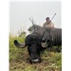 Image 13 : ARGENTINA WATER BUFFALO FREE RANGE FOR ! HUNTER 5 DAYS 4 NIGHTS