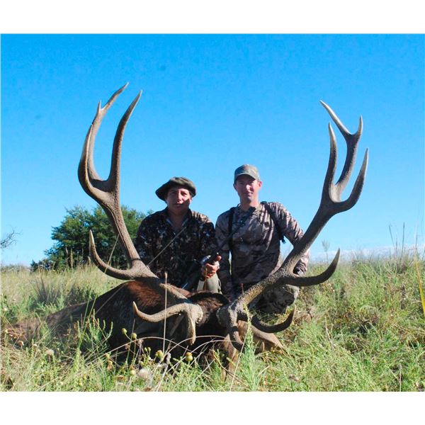 ARGENTINA RED STAG FREE RANGE FOR 1 HUNTER 5 DAYS 4 NIGHTS
