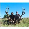 Image 1 : ARGENTINA RED STAG FREE RANGE FOR 1 HUNTER 5 DAYS 4 NIGHTS