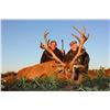 Image 2 : ARGENTINA RED STAG FREE RANGE FOR 1 HUNTER 5 DAYS 4 NIGHTS