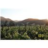 Image 4 : NAPA CALIFORNIA 3 NIGHTS FOR 2 PEOPLE DELUXE WINE EXPERIENCES