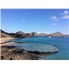 Image 19 : GALAPAGOS ISLANDS LUXURY EXPLORATION 6 DAYS 2 PEOPLE