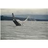 Image 3 : GALAPAGOS ISLANDS LUXURY EXPLORATION 6 DAYS 2 PEOPLE