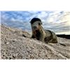 Image 4 : GALAPAGOS ISLANDS LUXURY EXPLORATION 6 DAYS 2 PEOPLE