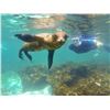 Image 7 : GALAPAGOS ISLANDS LUXURY EXPLORATION 6 DAYS 2 PEOPLE