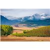Image 11 : FRANCE, BORDEAUX & BASQUE 6 NIGHTS 4 PEOPLE TOP WINE & DINE EXPERIENCE
