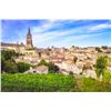 Image 13 : FRANCE, BORDEAUX & BASQUE 6 NIGHTS 4 PEOPLE TOP WINE & DINE EXPERIENCE
